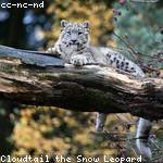 Lucas Denesik Profile Picture